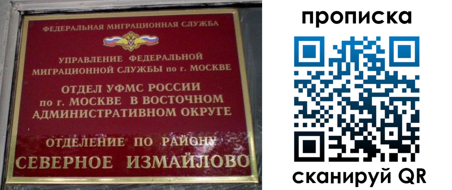 купить прописку в Гвардейске