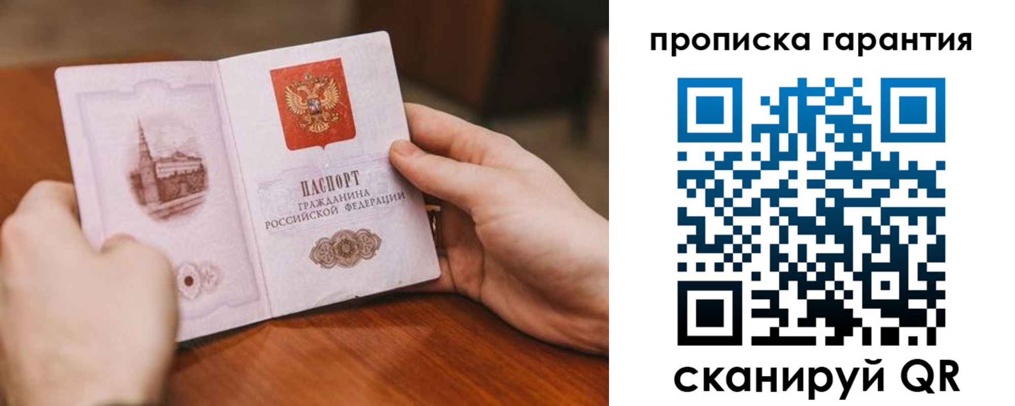 прописка поиск в Гвардейске